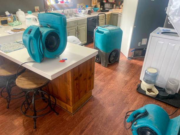 Best Commercial water damage restoration  in Walker, LA