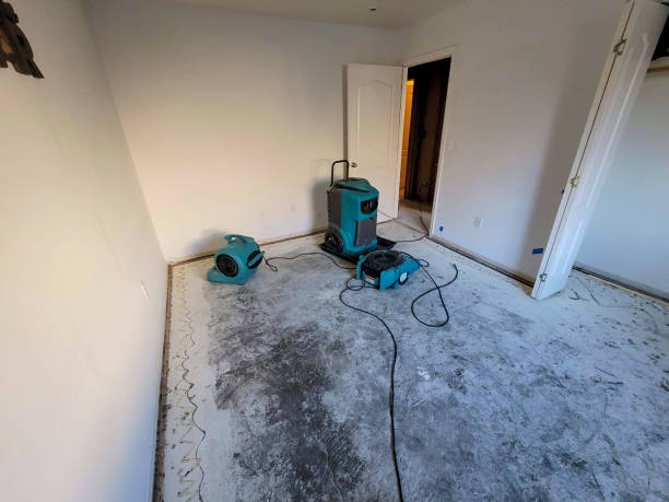 Best Ceiling water damage repair  in Walker, LA