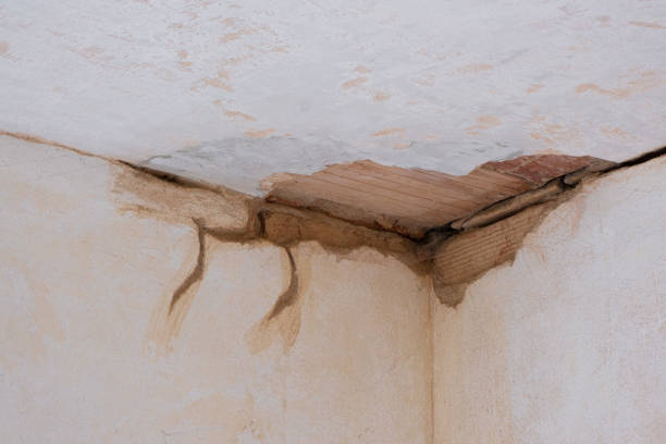 Best Fire Damage Restoration  in Walker, LA