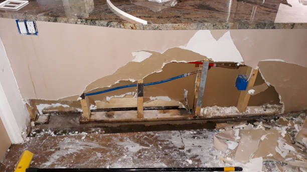 Best Mold removal after water damage  in Walker, LA
