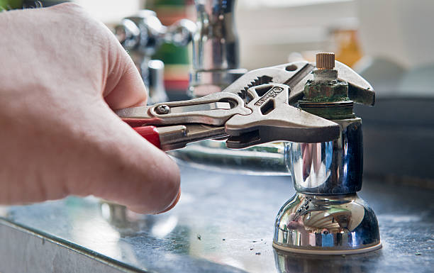Best Flooded house restoration  in Walker, LA