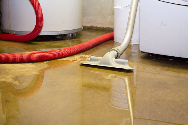 Best Residential water damage restoration  in Walker, LA