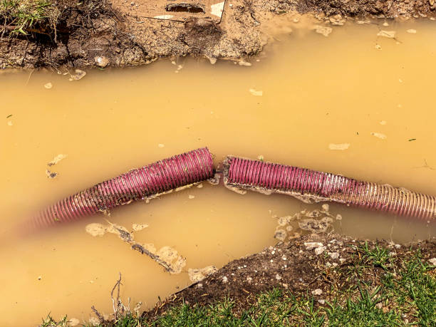 Best Water damage restoration near me  in Walker, LA