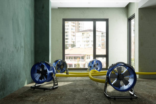 Best Professional water damage repair  in Walker, LA